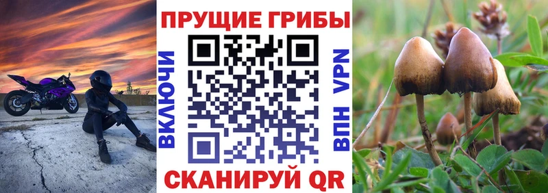 Галлюциногенные грибы мицелий Купить где Красноуфимск